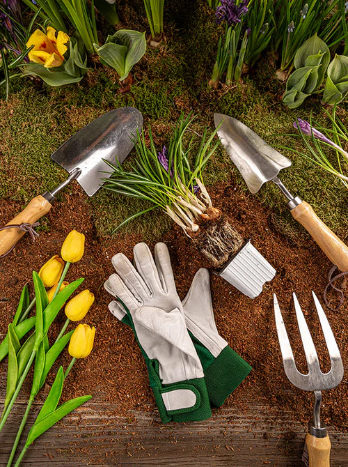 Garden Tools & Equipment